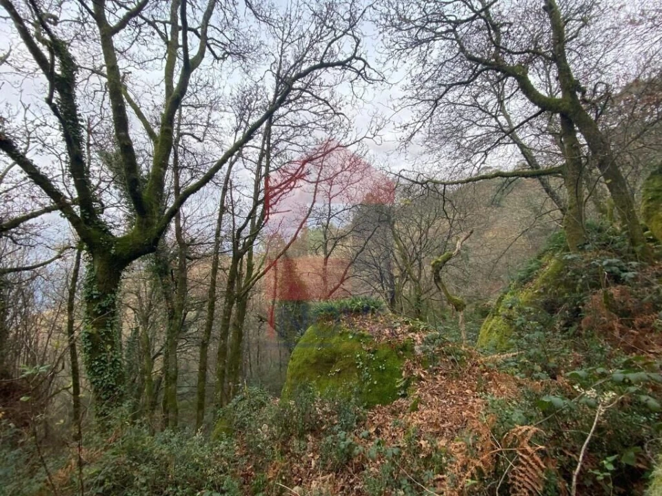 Terreno para Venda em Cuide de Vila Verde Foto 3