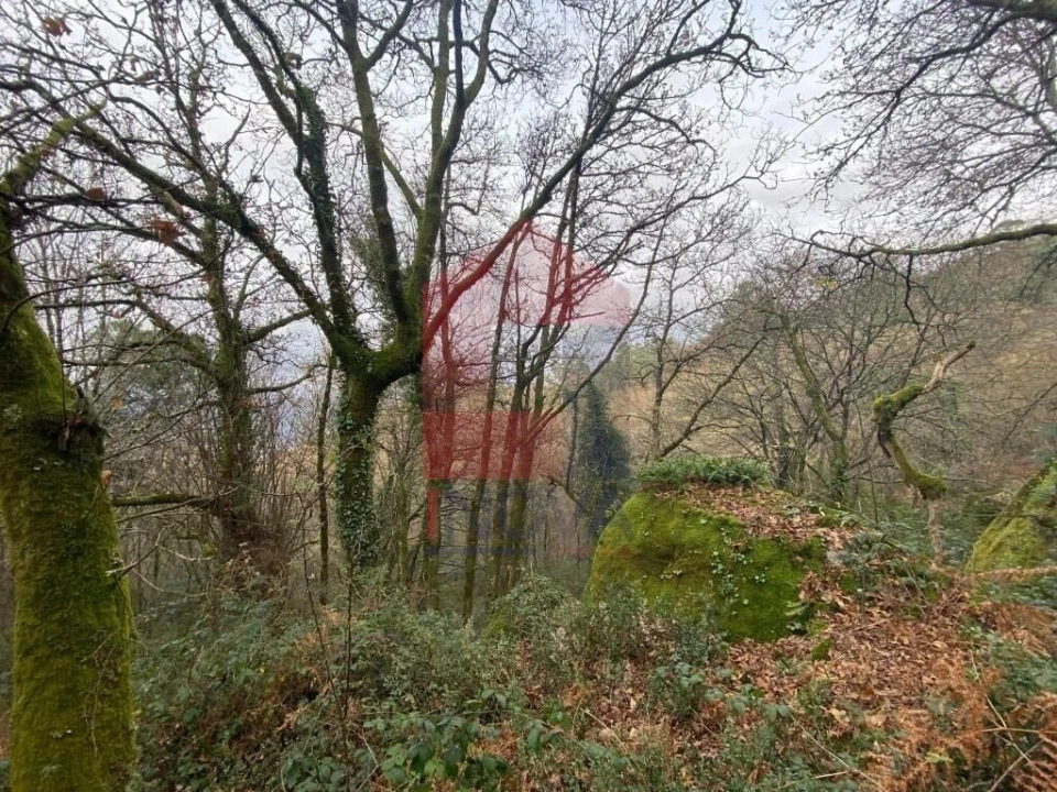 Terreno para Venda em Cuide de Vila Verde Foto 1