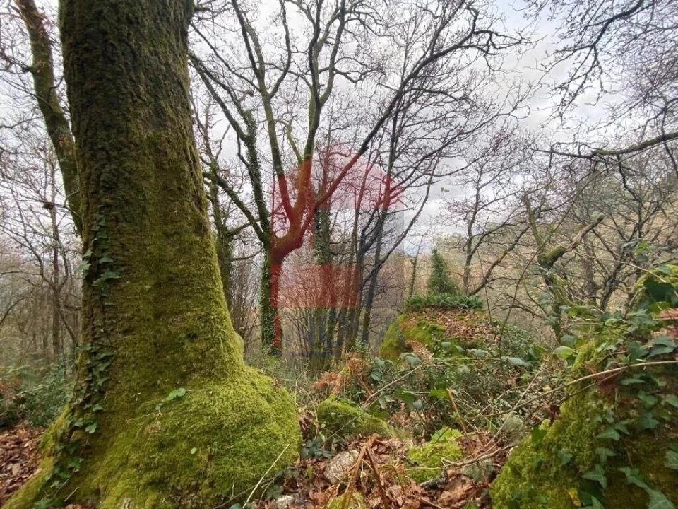 Terreno para Venda em Cuide de Vila Verde Foto 13