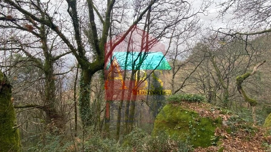 Terreno para Venda em Cuide de Vila Verde