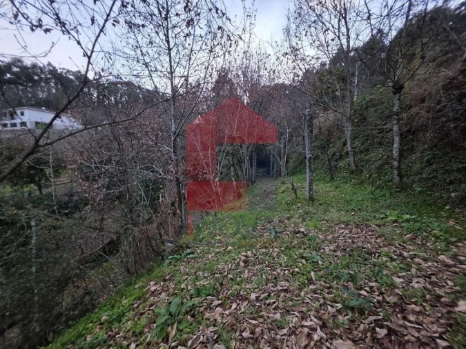 Moradia T2 para Venda em Vila Verde e Barbudo Foto 20