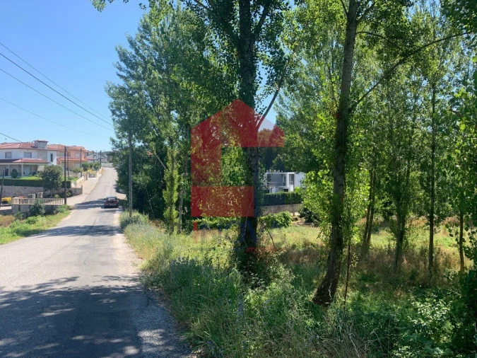 Terreno para Venda em Vila Verde e Barbudo Foto 6