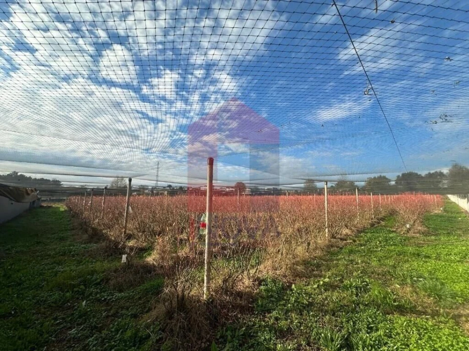 Terreno para Venda em Turiz Foto 12