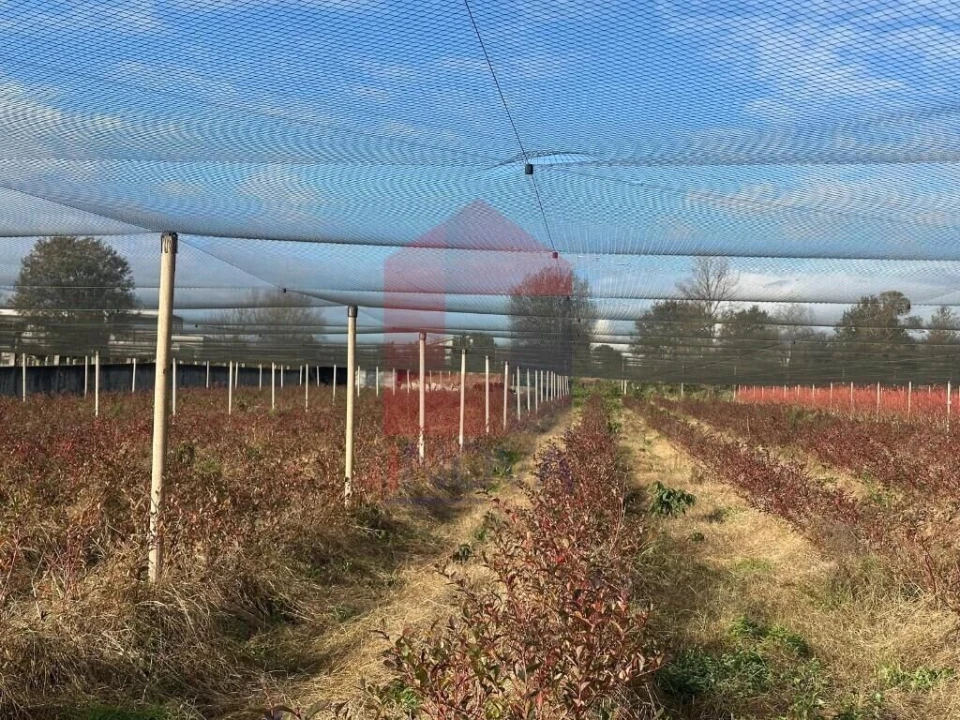 Terreno para Venda em Turiz Foto 20