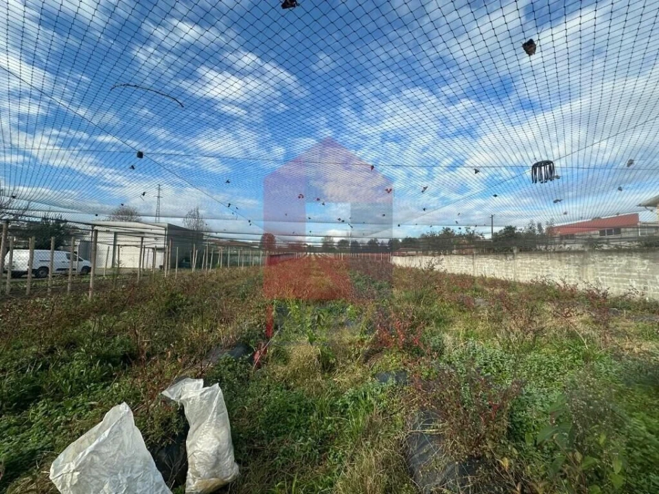 Terreno para Venda em Turiz Foto 19
