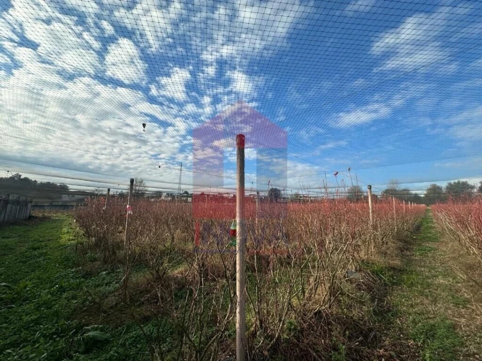 Terreno para Venda em Turiz Foto 15