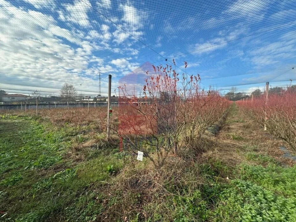 Terreno para Venda em Turiz Foto 17