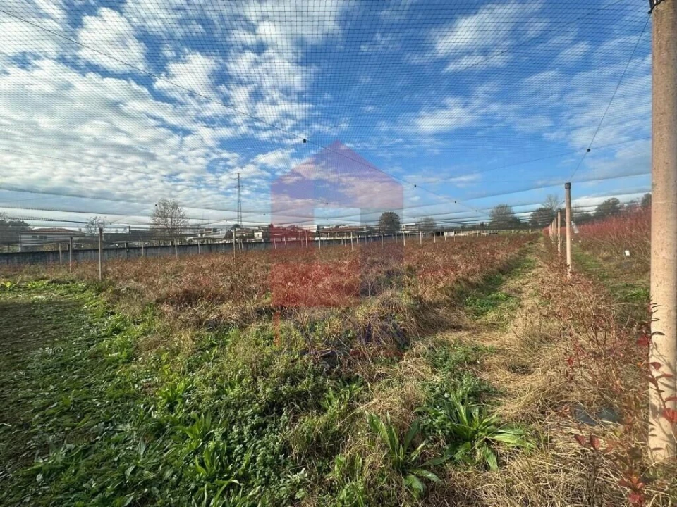Terreno para Venda em Turiz Foto 9