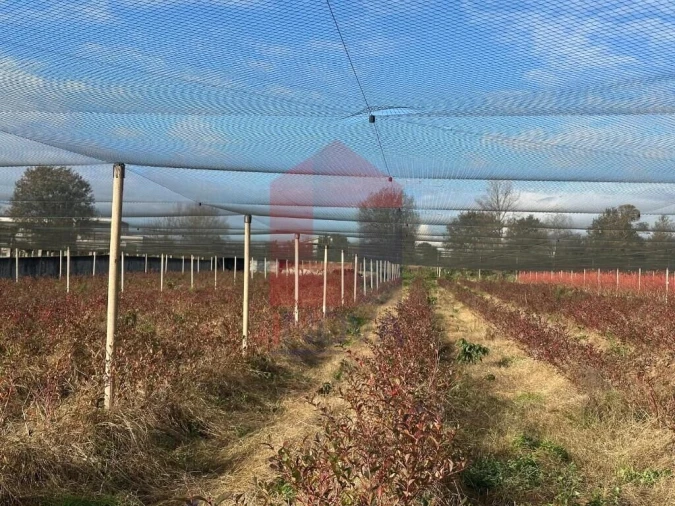 Terreno para Venda em Turiz Foto 20