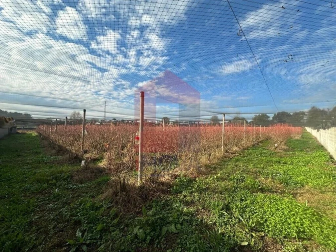 Terreno para Venda em Turiz Foto 1