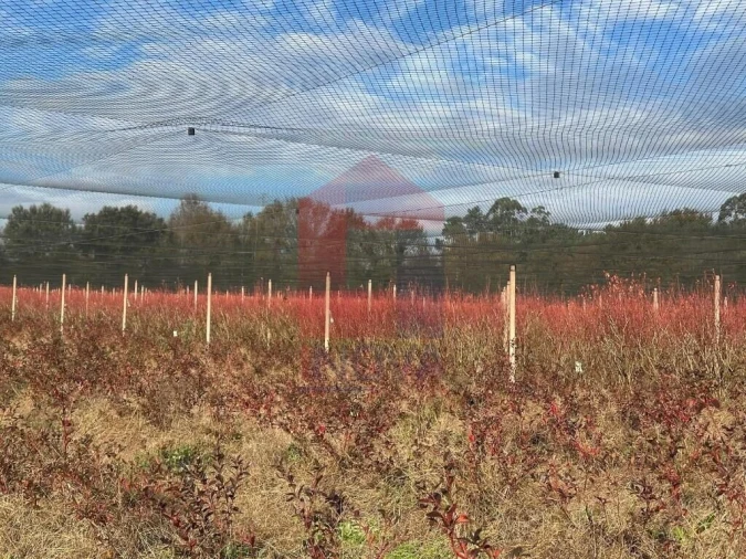 Terreno para Venda em Turiz Foto 21