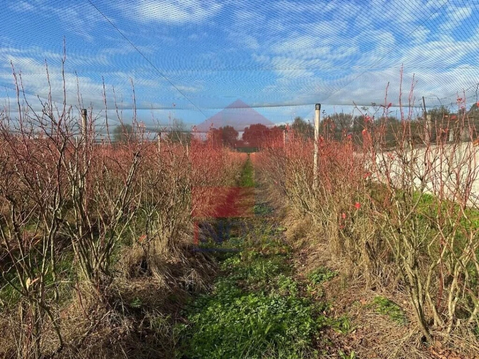 Terreno para Venda em Turiz Foto 13