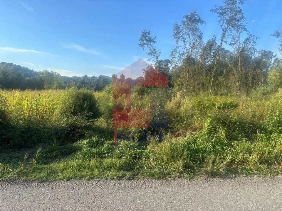 Terreno para Venda em Turiz Foto 4