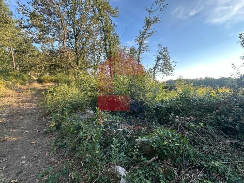 Terreno para Venda em Turiz Foto 15