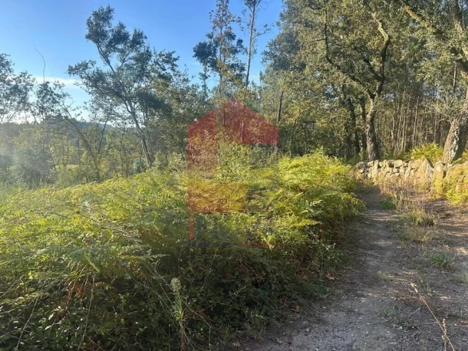 Terreno para Venda em Turiz Foto 17