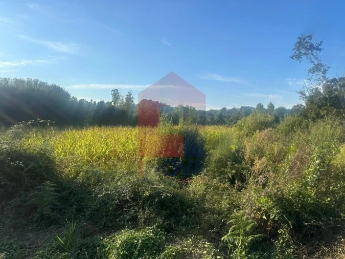 Terreno para Venda em Turiz Foto 7