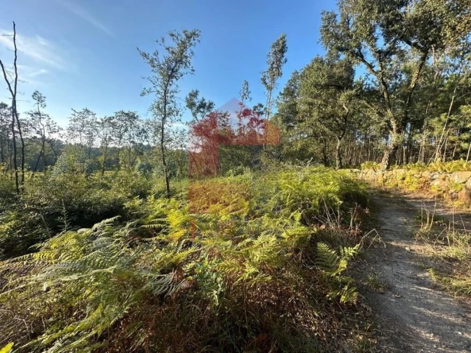 Terreno para Venda em Turiz Foto 18