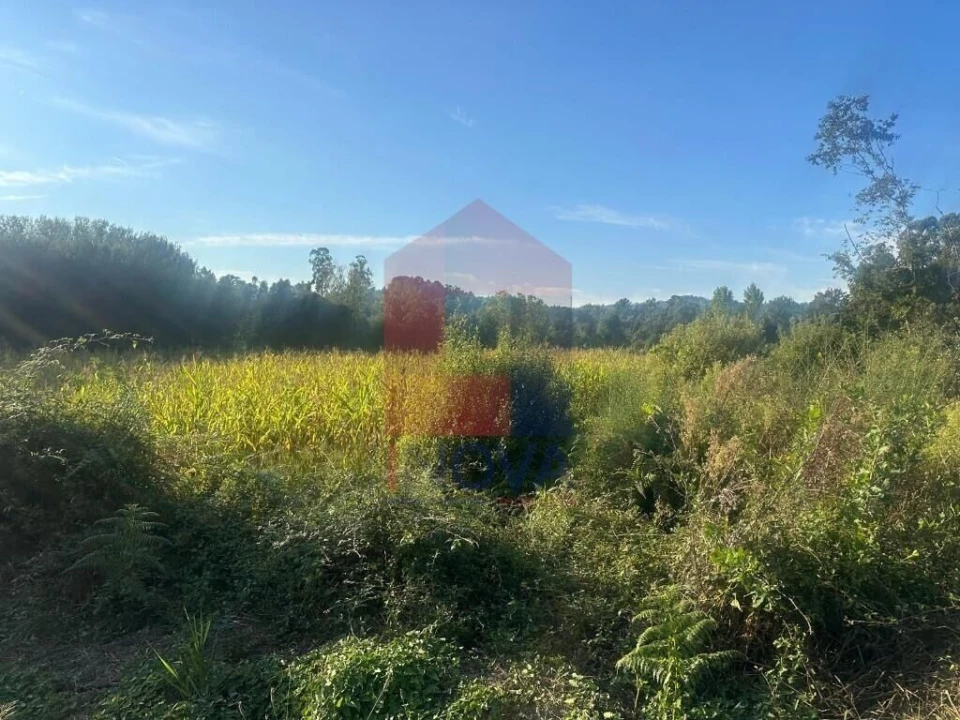 Terreno para Venda em Turiz Foto 7