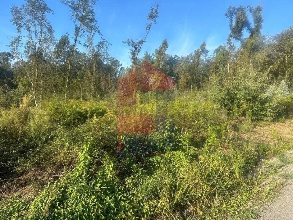 Terreno para Venda em Turiz Foto 3