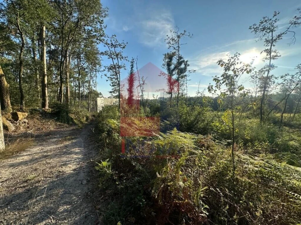 Terreno para Venda em Turiz Foto 12