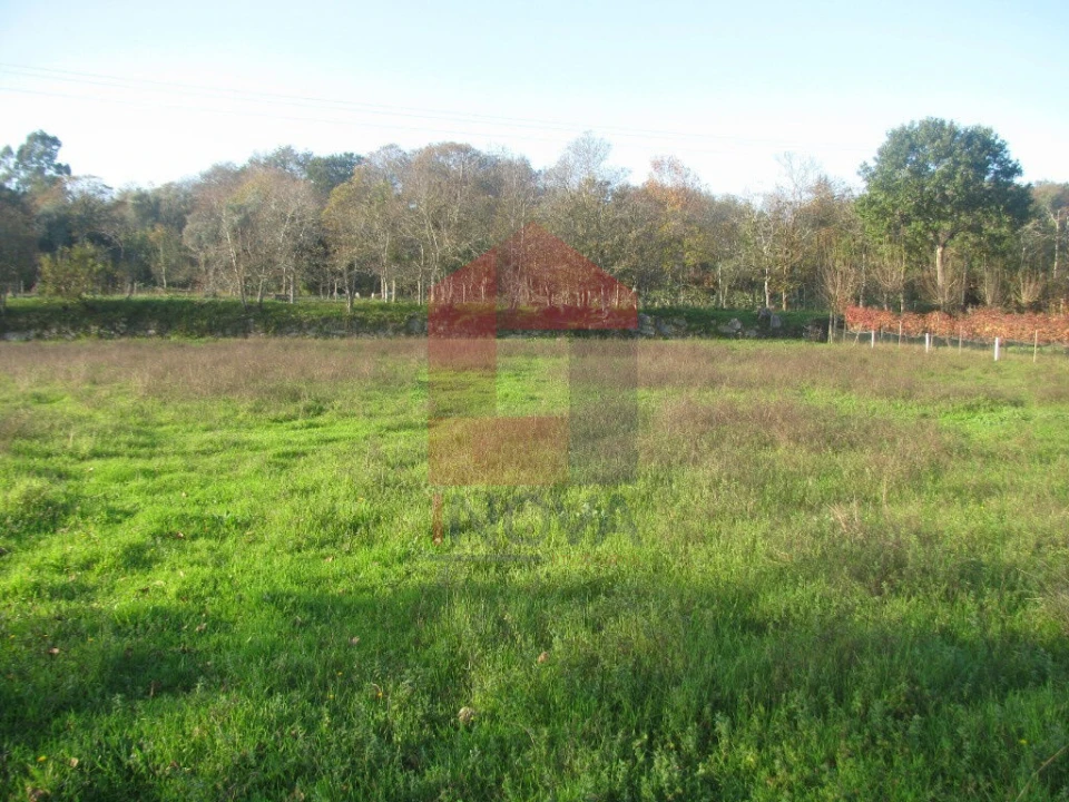 Terreno para Venda em Fiscal Foto 2