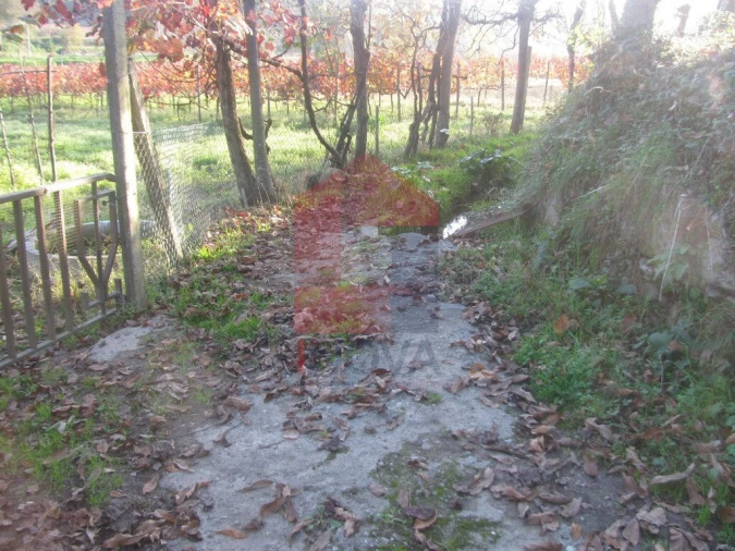 Terreno para Venda em Fiscal Foto 11