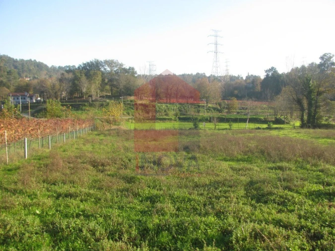 Terreno para Venda em Fiscal Foto 4