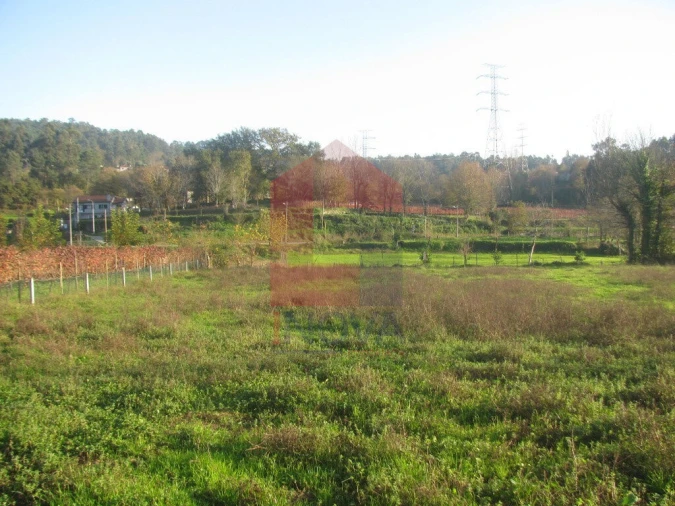 Terreno para Venda em Fiscal Foto 5