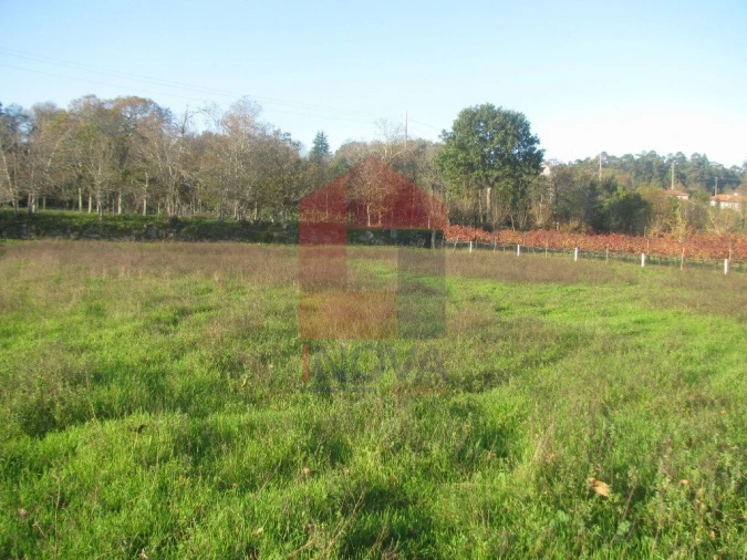 Terreno para Venda em Fiscal Foto 3