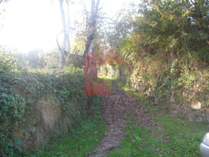 Terreno para Venda em Fiscal Foto 10