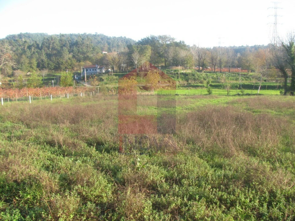 Terreno para Venda em Fiscal Foto 7