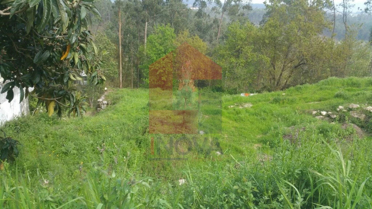 Terreno para Venda em Vila Verde e Barbudo Foto 2
