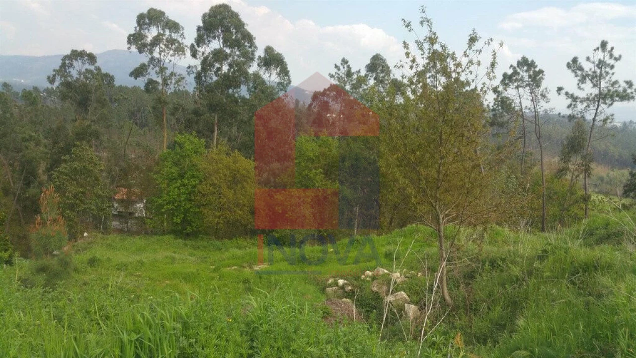 Terreno para Venda em Vila Verde e Barbudo Foto 5