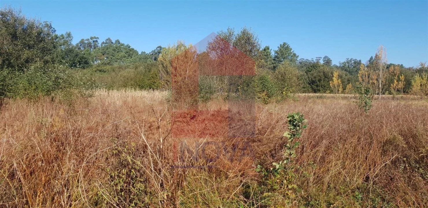 Terreno para Venda em Freiriz Foto 5