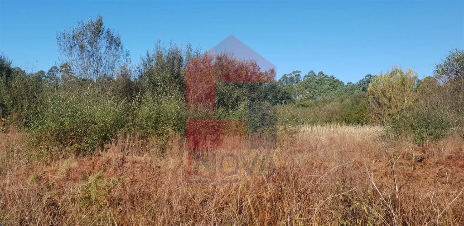 Terreno para Venda em Freiriz Foto 4