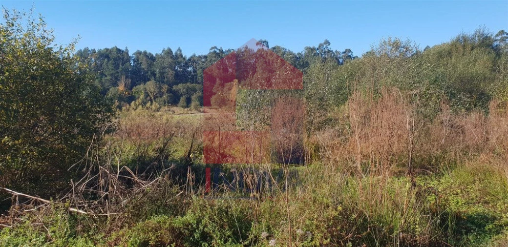 Terreno para Venda em Freiriz Foto 2