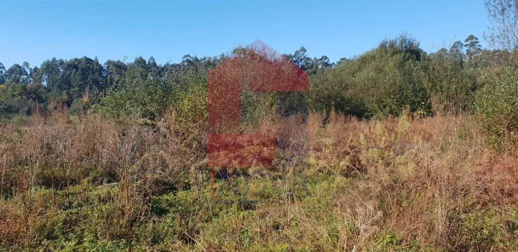 Terreno para Venda em Freiriz Foto 6