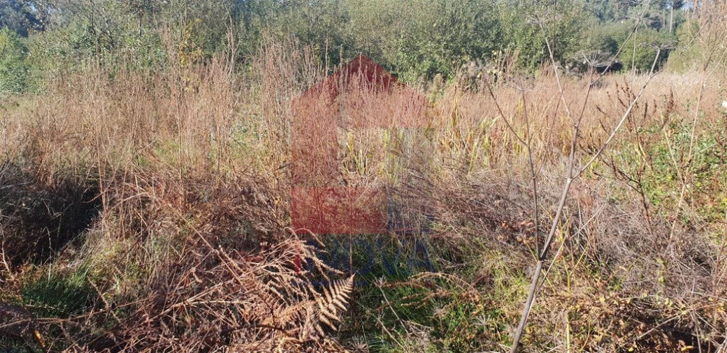 Terreno para Venda em Freiriz Foto 7