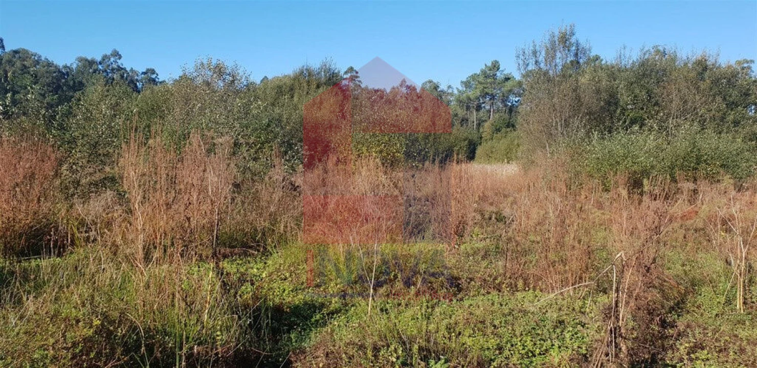 Terreno para Venda em Freiriz Foto 3