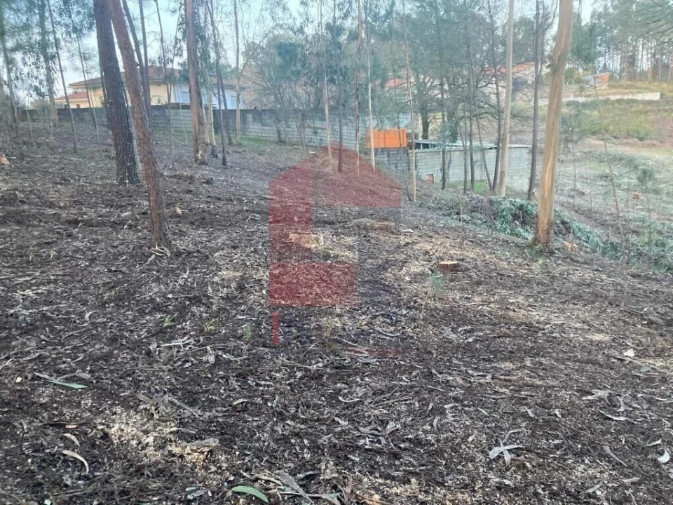 Terreno para Venda em Sabariz Foto 7