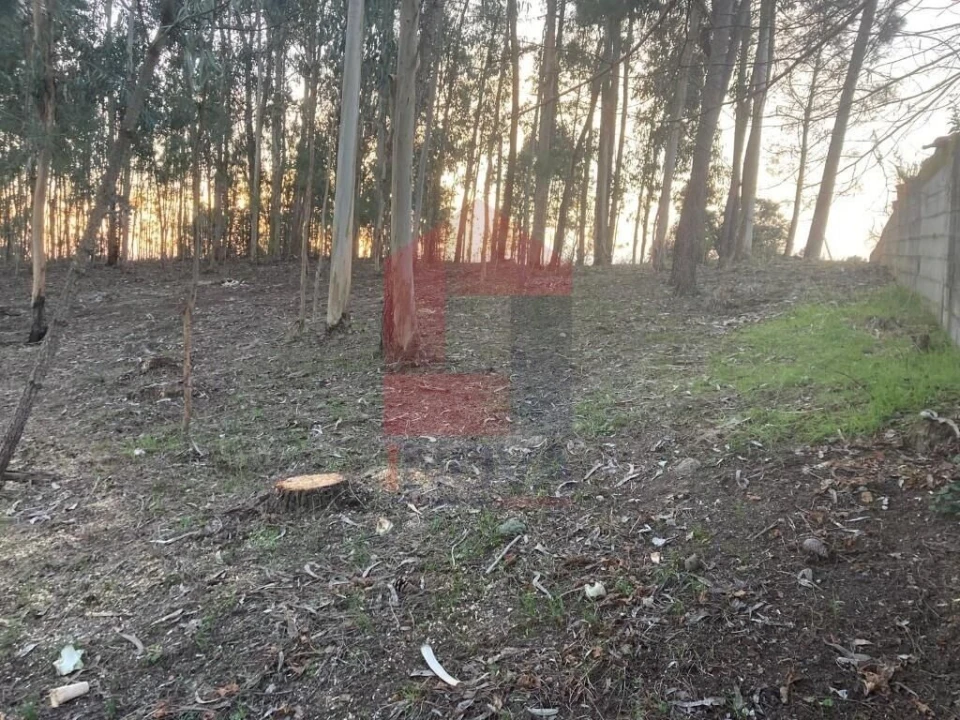 Terreno para Venda em Sabariz Foto 18