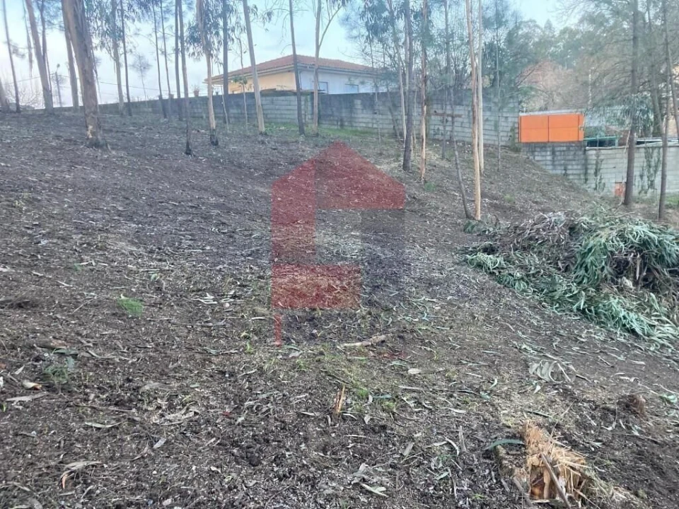 Terreno para Venda em Sabariz Foto 10