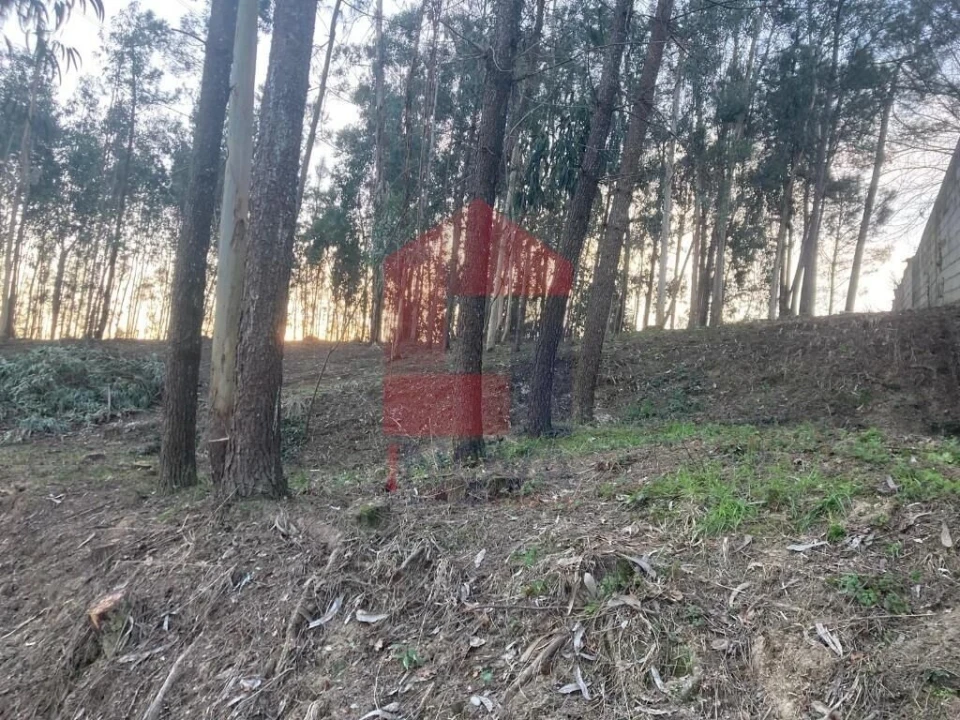 Terreno para Venda em Sabariz Foto 13