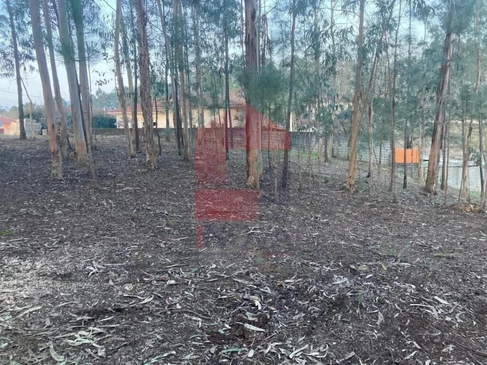 Terreno para Venda em Sabariz Foto 2