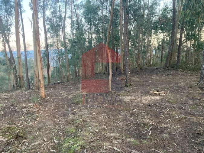 Terreno para Venda em Sabariz Foto 22