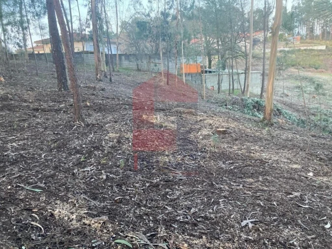 Terreno para Venda em Sabariz Foto 7