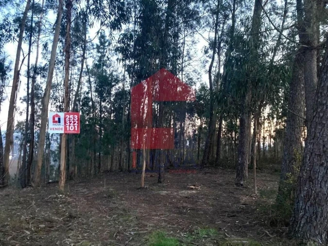 Terreno para Venda em Sabariz