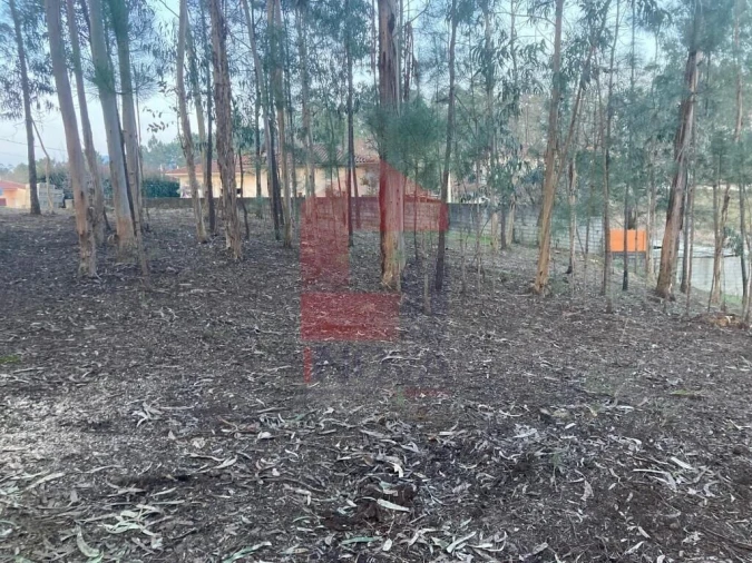 Terreno para Venda em Sabariz Foto 2