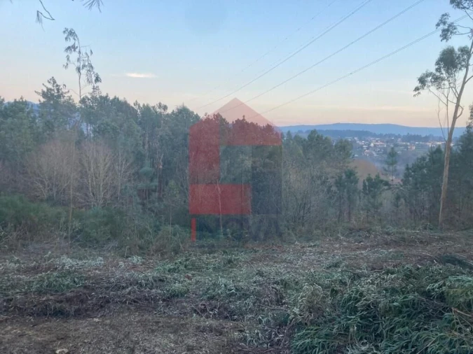 Terreno para Venda em Sabariz Foto 12