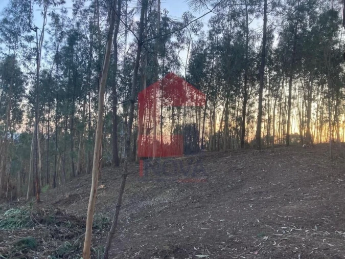 Terreno para Venda em Sabariz Foto 11
